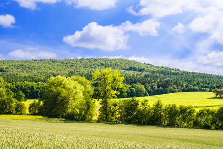 green field and hill, blue sky with cloudsの写真素材