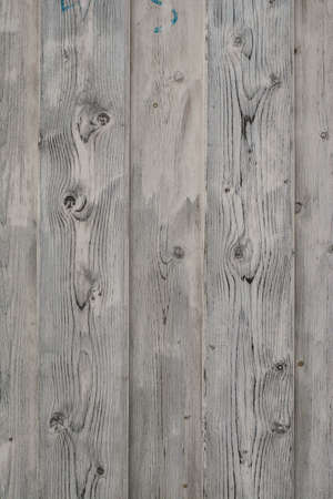 tree structure on the painted boardの写真素材