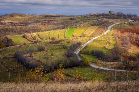 Rural landscape with terraces and meadows in autumn.