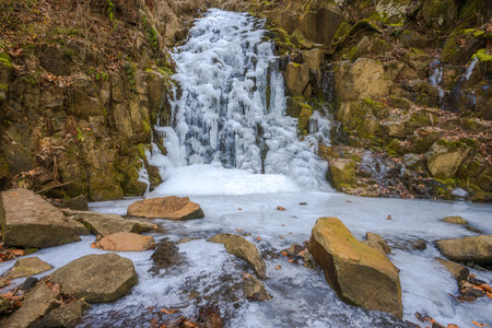 Frozen waterfall in the forest with leaves and rocks.