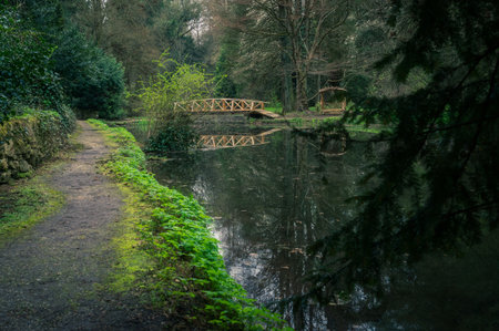 Wooden bridge over the small lake in the forest.
