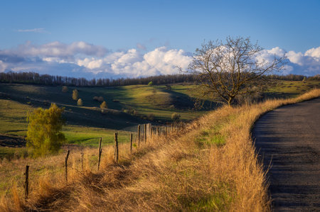 Country road on the hills with trees and fields on a sunny day.の写真素材