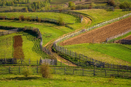 Rural landscape with fence on a green meadow in the countryside.の写真素材