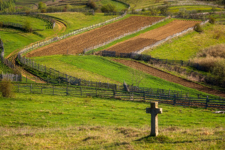 Rural landscape with fence on a green meadow in the countryside.の写真素材