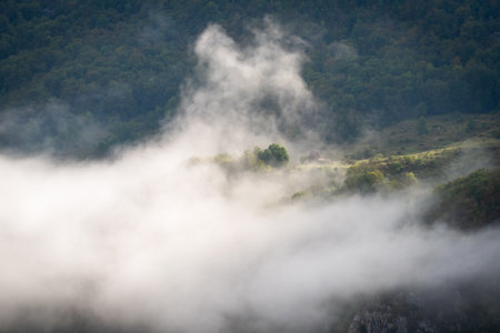 Foggy morning over the forest in the Carpathian mountains.の写真素材