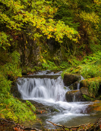 Mountain river in autumn forest with colorful leaves and rocks covered with moss. Long exposure.の写真素材