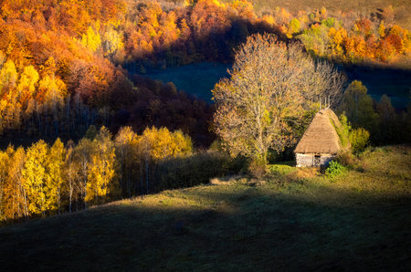 Beautiful autumn landscape with small rural house on the hillside.の写真素材