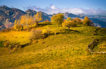 Colorful autumn landscape in the Carpathian mountains in a sunny day.の写真素材
