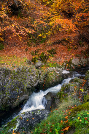 Mountain river in the autumn forest. Beautiful landscape with a watercourse and colorful leaves.の写真素材