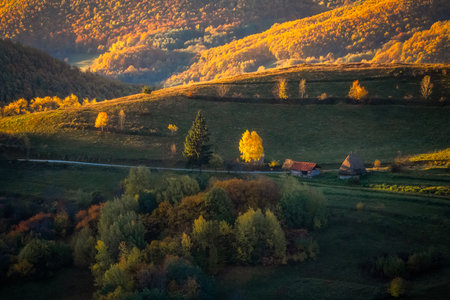 Autumn forest in the mountains. Beautiful landscape with colorful autumn trees, light and shadow.の写真素材