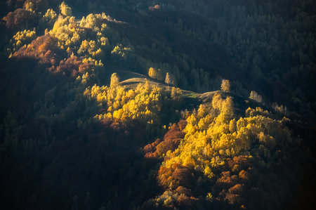 Autumn forest in the mountains. Beautiful landscape with colorful autumn trees, light and shadow.の写真素材