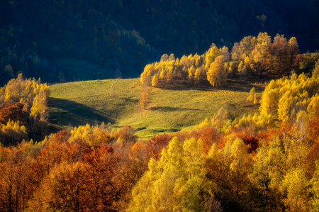 Colorful autumn landscape in the Carpathian Mountains.の写真素材
