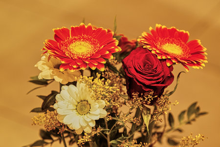 Gerbera -Rosen - BlumenstrauÃの写真素材