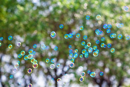 soap bubbles on a background of treesの写真素材