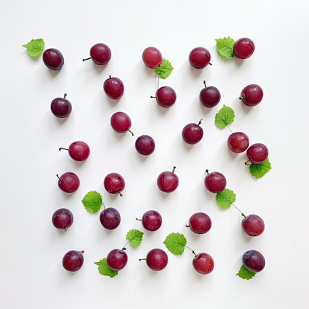 Red plums on a white background - flat lay, top viewの素材