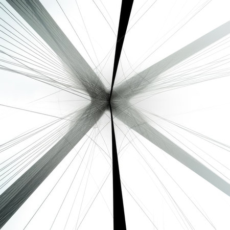 Abstract black and white fractal backgroundの素材