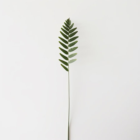 Creative layout made of green leaves on white backgroundの素材