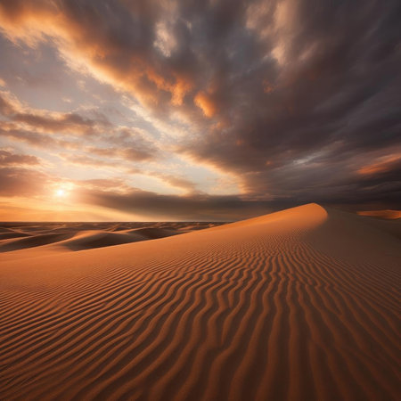 Sunset over the sand dunes in the desertの素材