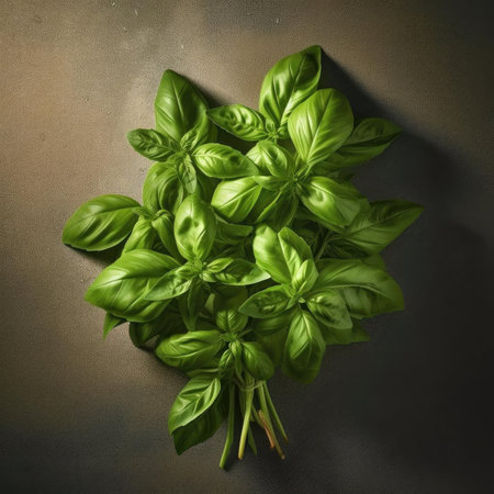 Fresh basil leaves on dark background - top view - flat layの素材