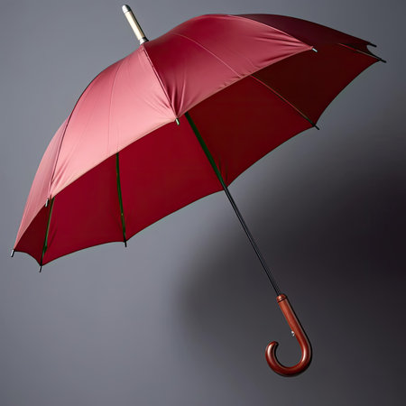 Red umbrella on a dark backgroundの素材