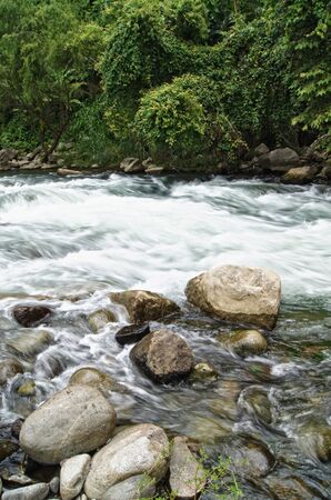 Beautiful shot of Filobobos river with vegetation and rocksの写真素材