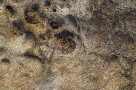 Rock surface with natural cavities and erosion textureの写真素材