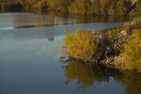 lake with reflections on water and trees in autumnの写真素材