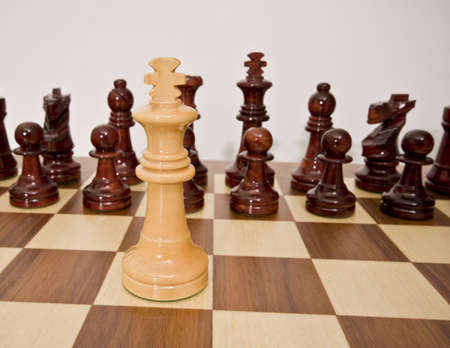 pieces of chess placed on the board