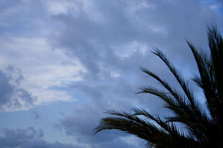 landscape of sky with clouds in the afternoonの写真素材