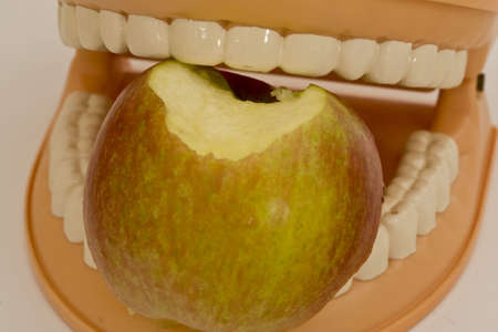 A biting teeth, a symbol of good oral healthの写真素材