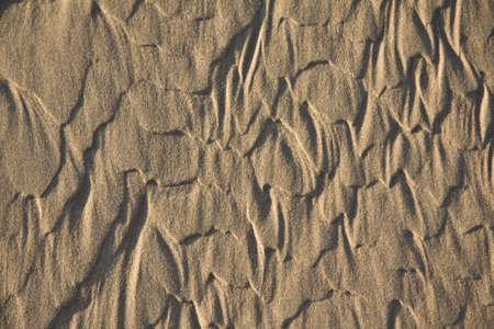 Background consists of sand from a beachの写真素材