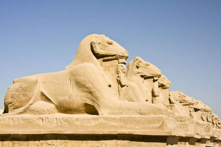 Details of Egyptian art. An example of the art of the pharaohs.の写真素材