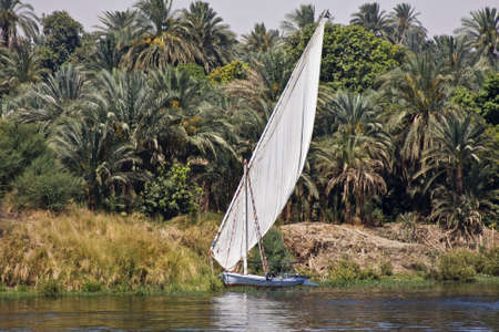 A felucca sails on the Nile in Egypt.の写真素材