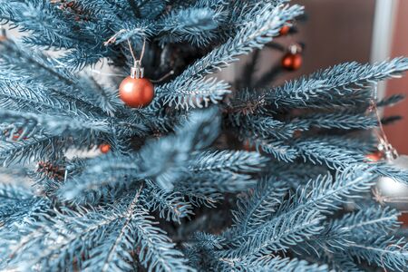 Beautiful orange decorations on a Christmas tree. Soft focus.