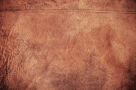 Texture の写真素材