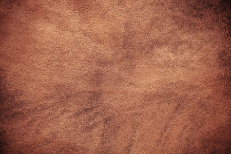 Texture の写真素材