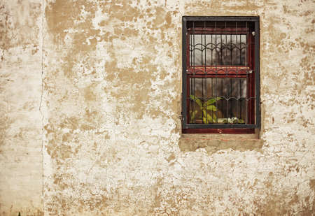 Texture の写真素材