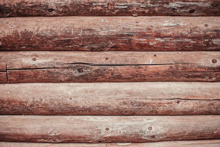 Texture の写真素材