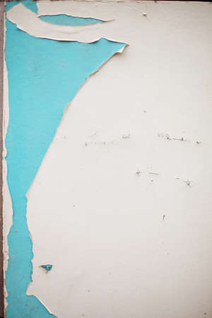 Texture の写真素材