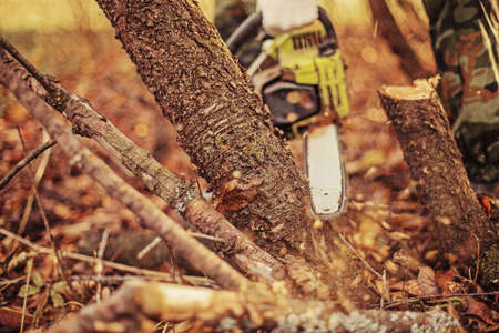 Chainsaw の写真素材