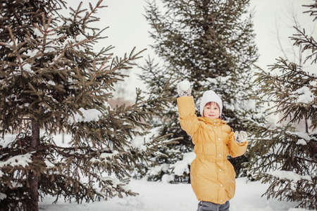 Portrait の写真素材