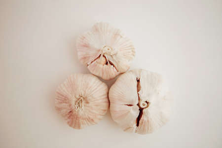 Garlic の写真素材