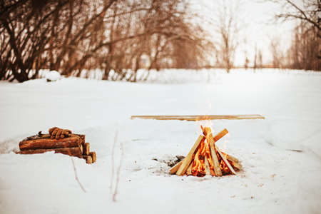 Firewood の写真素材