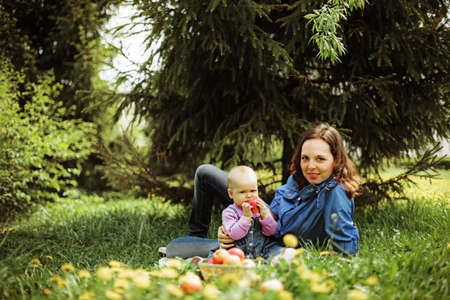 Family の写真素材