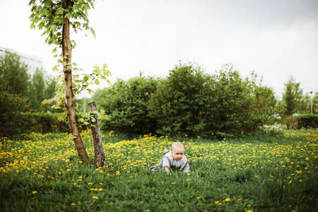 Happy   baby sitting at the parkの写真素材