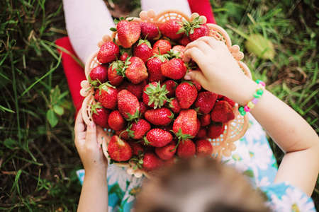 Young girl holding strawberriesの写真素材
