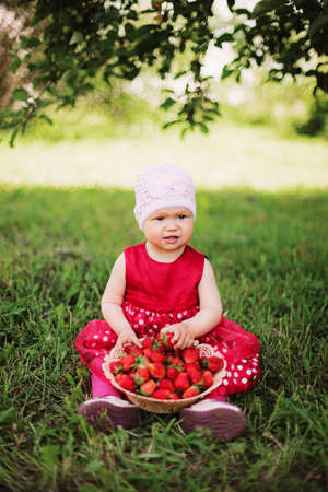 Young girl holding strawberriesの写真素材