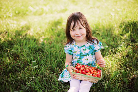 Young girl holding cherries in the basketの写真素材