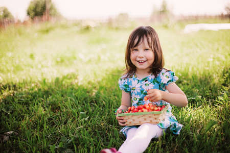 Young girl holding cherries in the basketの写真素材