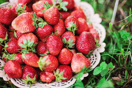 Strawberries の写真素材